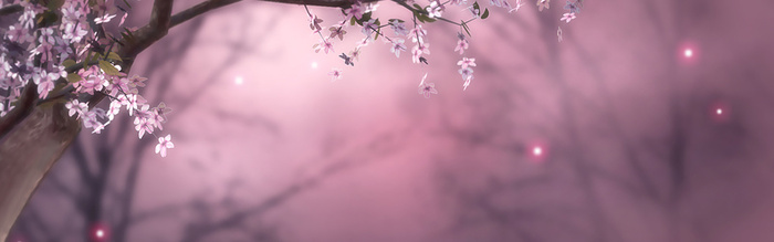 粉红桃花背景高清