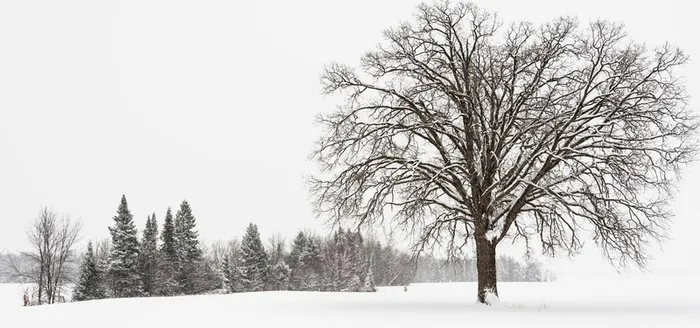 雪高清