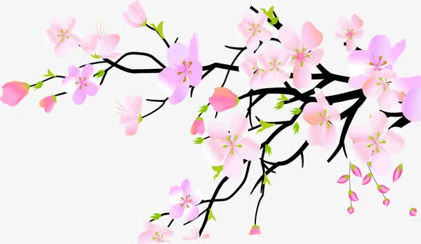 盛开卡通桃花元素免抠