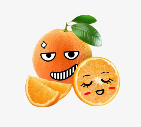 赣南脐橙免抠