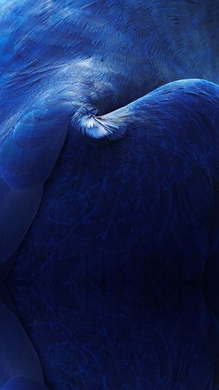 炫彩底纹背景高清