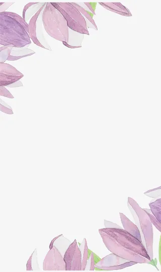 请柬装饰元素免抠