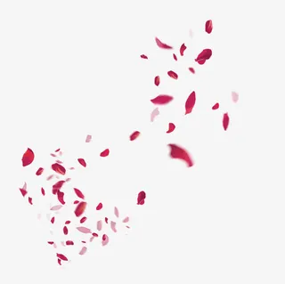 漂浮花瓣免抠