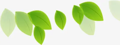 清新绿叶装饰素材免抠