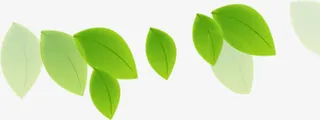 清新绿叶装饰素材免抠