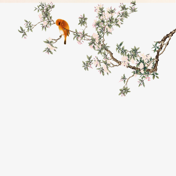 树枝免抠