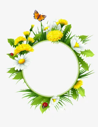 蒲公英和雏菊的春天背景免抠