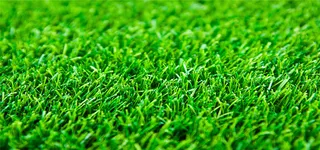 绿色草地草坪背景高清