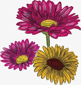 彩色春天小雏菊花束免抠