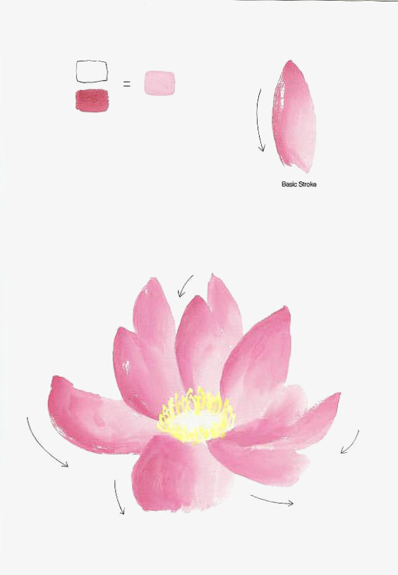 鲜花花瓣免抠