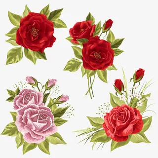 玫瑰免抠