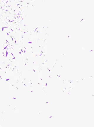 紫色清新花瓣漂浮素材免抠