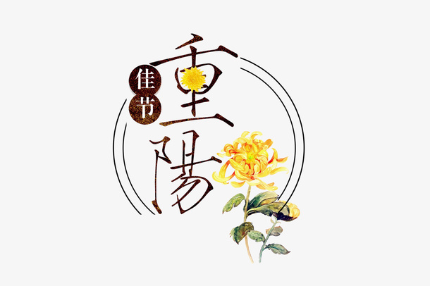 圆形重阳菊花免抠