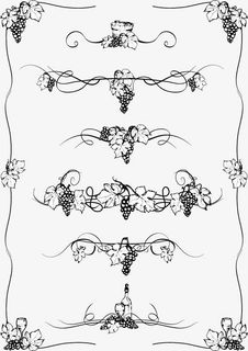 黑色花纹边框葡萄枝免抠