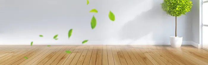简约家居盆景树叶落叶落地窗花盆背景高清