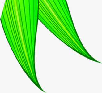 端午节粽叶绿叶叶子装饰免抠
