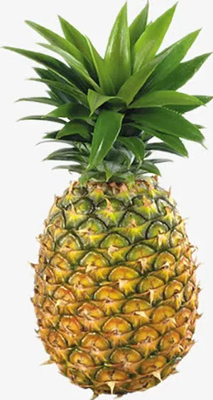 新鲜进口菠萝免抠
