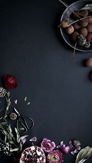 菜鸟图库网-摄影石榴花卉荔枝深灰色H5背景高清