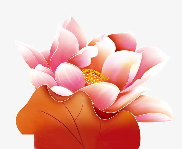 荷花免抠