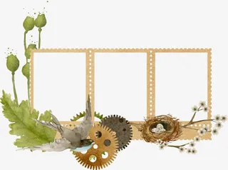 小鸟邮票样式相框免抠