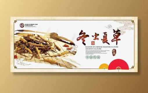 冬虫夏草中药材实物免抠