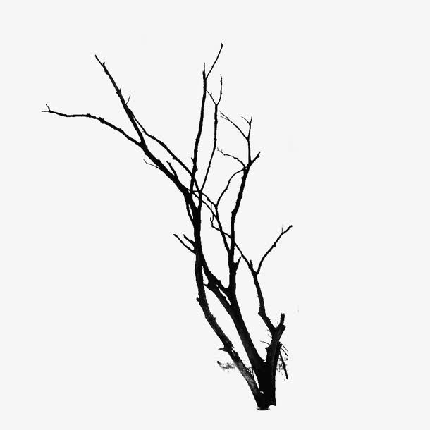 枯藤老树免抠