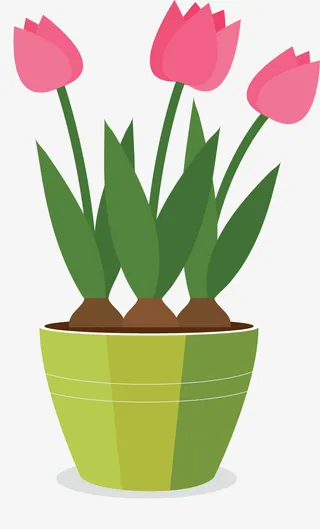 美丽春天郁金香盆栽免抠