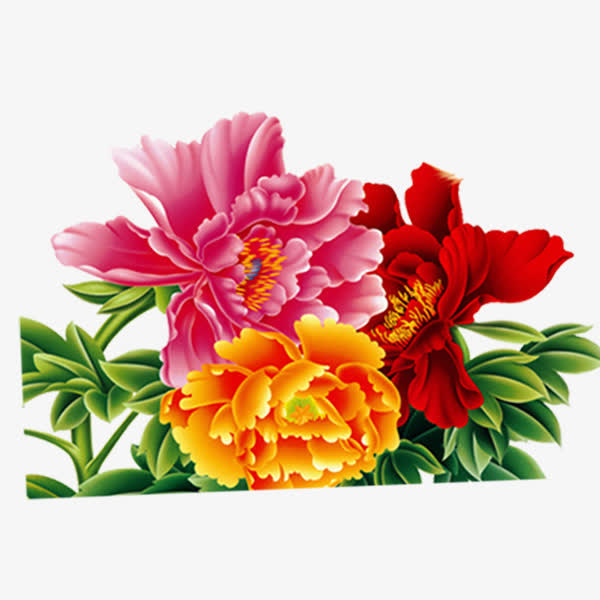 元旦春节新年牡丹花免抠