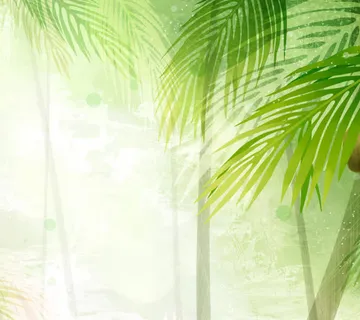 立绘彩绘竹林高清合成效果免抠