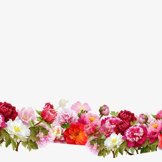 清新手绘水彩花卉绿叶边框素材免抠手绘/卡通手绘元素