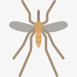 蚊图标免抠