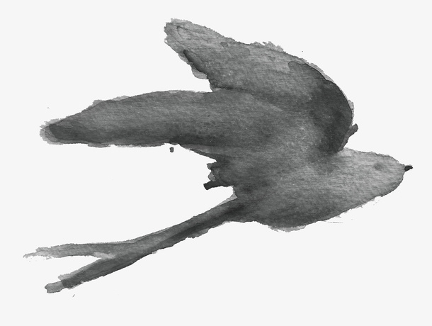 燕子免抠
