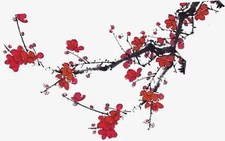 红色梅花花枝淘宝促销免抠