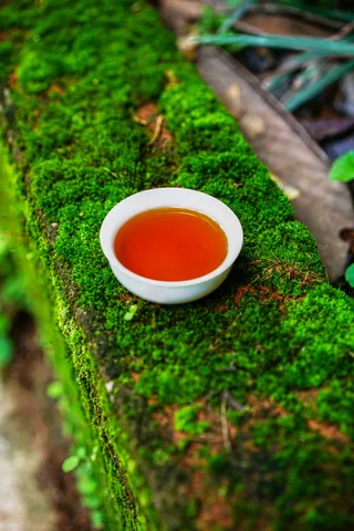 红茶熟茶茶汤茶拍摄高清