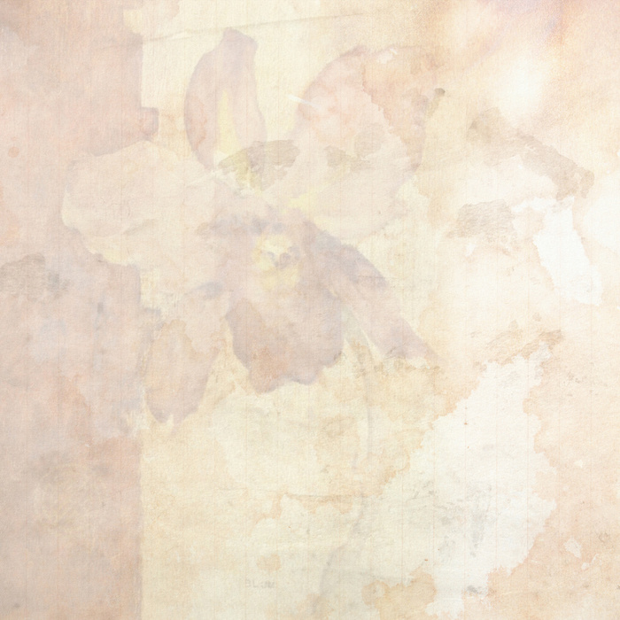 简约花卉底纹复古质感设计背景高清