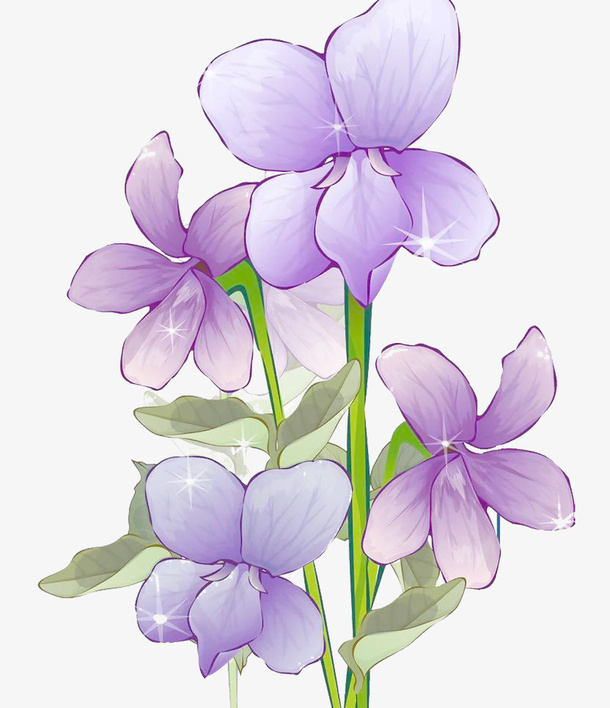 卡通紫花地丁图片素材免抠