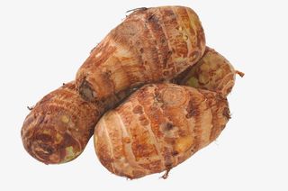 堆积的魔芋免抠