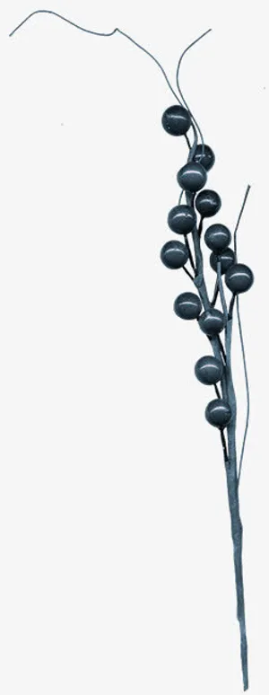 黑珠png图片免抠