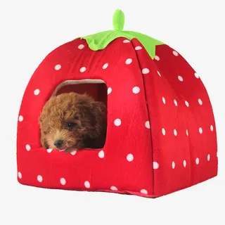 草莓狗窝免抠