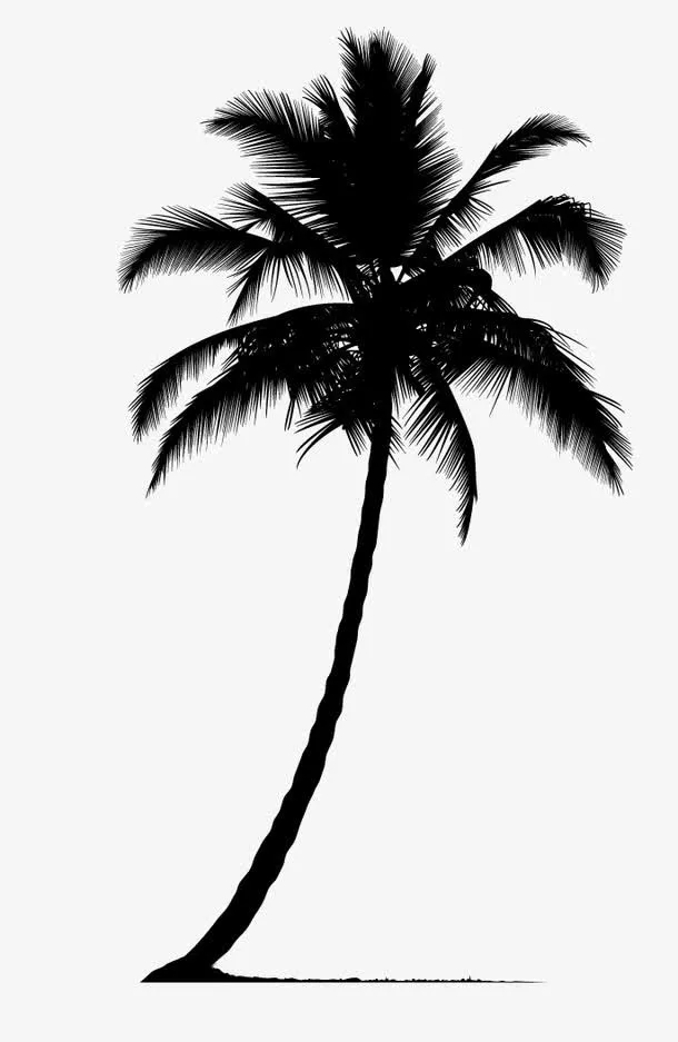 棕榈树剪影免抠