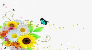 绚丽彩色春天蝴蝶花朵免抠