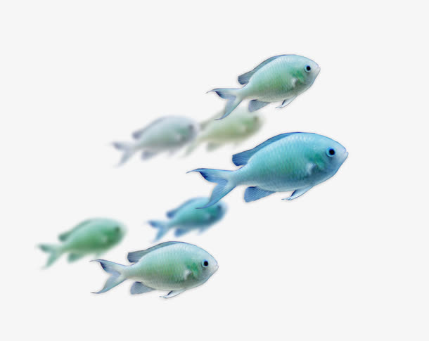 深海游鱼免抠