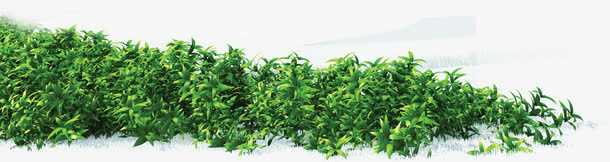 绿色草地免抠