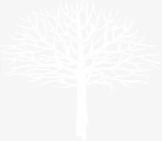 白色树枝创意插画免抠