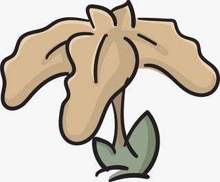 枯萎的矢量鸢尾花免抠