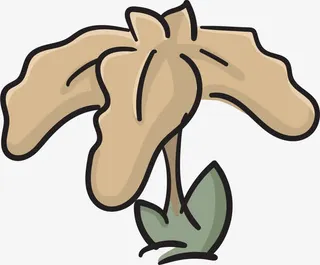 枯萎的矢量鸢尾花免抠