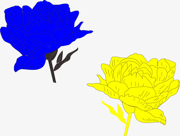 花朵盛开的花蓝色 黄色花朵免抠