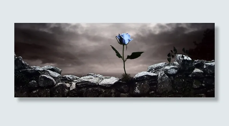 淘宝女鞋背景图高清