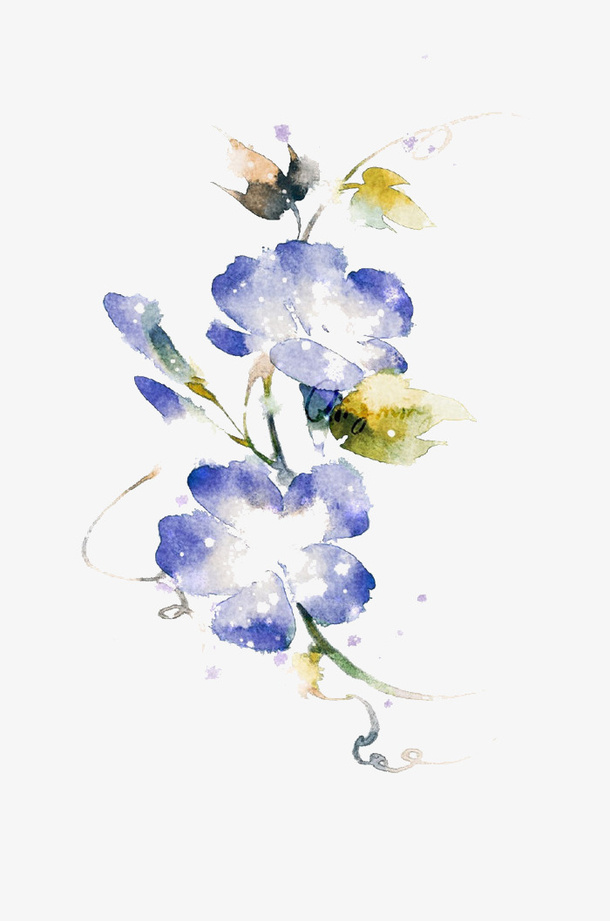 蓝色百合免抠