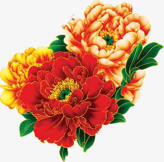 高清牡丹花国花免抠